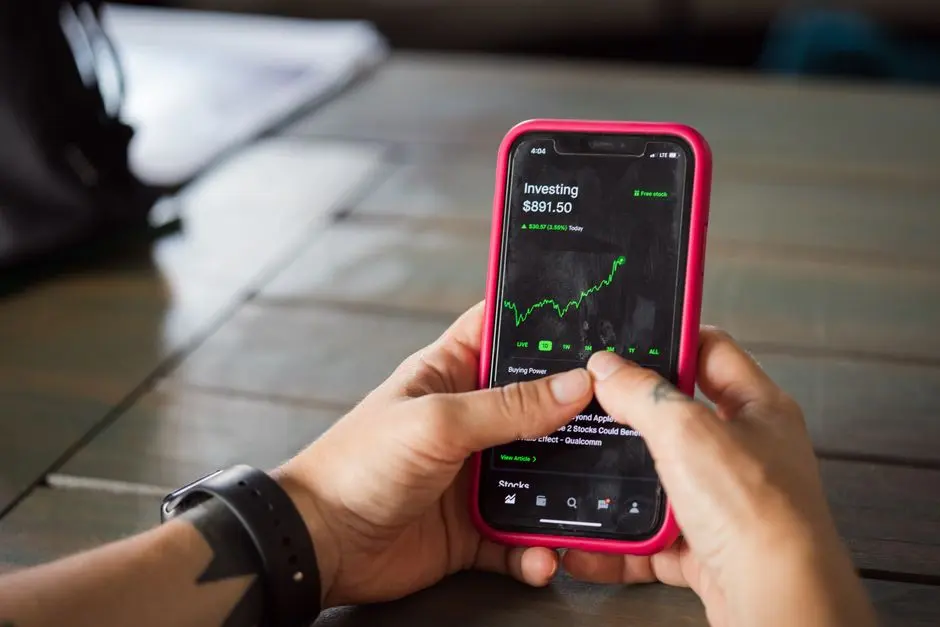 Ilustrasi investasi lokal melalui aplikasi keuangan